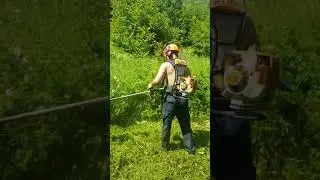 stihl fr480 unkempt orchard