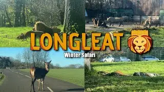 Longleat Winter Safari Park Drive Thru Vlog! - 30th November