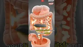 &ldquo;What Cucumber Really Does Inside Your Body Will Shock You&rdquo;