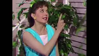 Under the Umbrella Tree   Zelda
