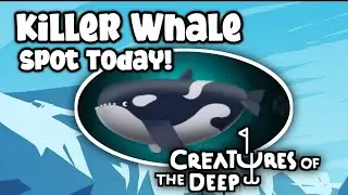 Killer Whale Spot Today July 10th 2023❗ Kraken Spot Today #creaturesofthedeep