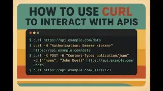 How to Use curl to Interact with APIs