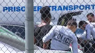 More than a dozen busted in Miami-Dade auto insurance fraud scheme
