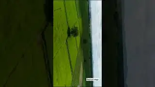 #town #hometour #sircilla #vemulawada #ktr #trs #trendingshorts #trend #views #viral #editing #short