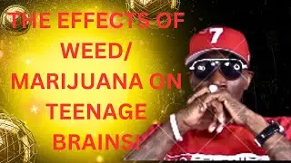 The Effects of WEED/MARIJUANA  on TEENAGE BRIANS!
