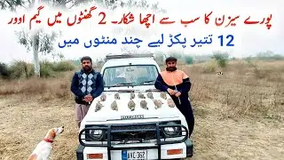 Sufaid Teetar Ka Shakar || White Partridge Hunting 2022 || Syed Asmeen Vlogs