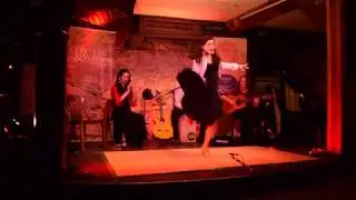Toque Flamenco (Tangos) - Vancouver World Music Festival