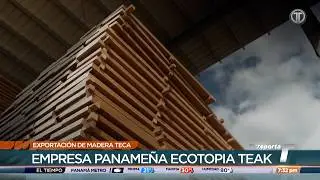 Empresa Ecotopia Teak exporta madera teca a 14 países