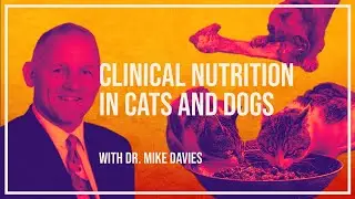 Clinical nutrition in cats and dogs
