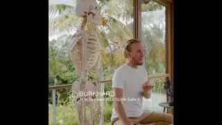 Yoga for the Spine - How to keep you Spine Healthy #shorts #yoga #yogashorts #viralshorts
