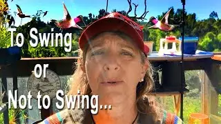 Understanding Hummingbirds -Swing, Fountain, Rain, Christmas Lights, Good Hummingbird Feeders Recipe