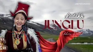 Padma Dolkar JUNGLU Live in Vietnam | Beautiful Ladakhi Folk Song Performance