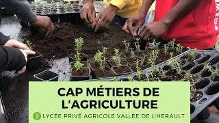 CAP Métiers de l'Agriculture - LPAVH