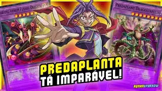 NOVO META? PREDAPLANT T&Aacute; INSACI&Aacute;VEL! - Yu-Gi-Oh! Duel Links #2450