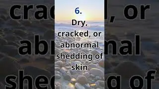 10 common signs that a turtle might be sick  #jjnaturalscience #turtle #tortoise #cute