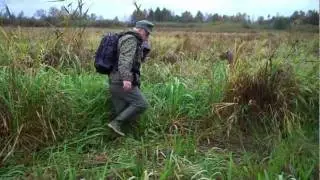 Biebrza - Walking in the marshes
