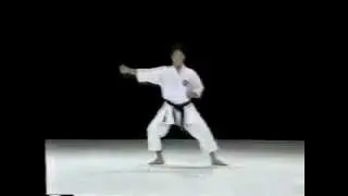 Matsukaze Shito Ryu