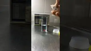 bwt water test kit