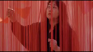 Chiharu Shiota - Memory Under the Skin