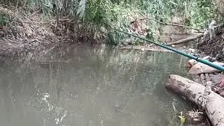 Fishing Under the bridge