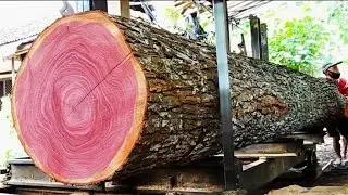 Sawing a beautiful and expensive large mahogany wood 