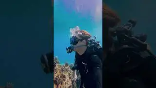 June Dive Challenge with Buddy Explorer x #fourthelement