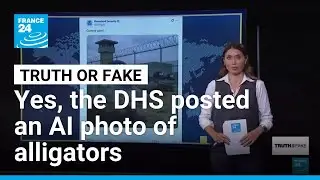 'Alligator Alcatraz': Yes, US Homeland Security posted AI photo of alligators with ICE hats