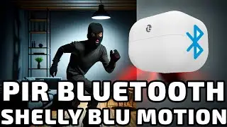 Shelly Blu Motion, sensor PIR con bateria que dura 5 años!