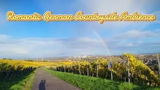Romantic German Countryside Ambience 🇩🇪🍷 Vineyards & Rainbow over the Neckar | Reading & Relaxation