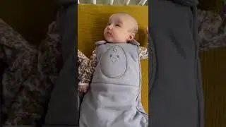 The Zen Sack Winter