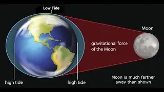 Talk to B (earth's gravity controls the moon but the moons gravity controls the ocean tides)
