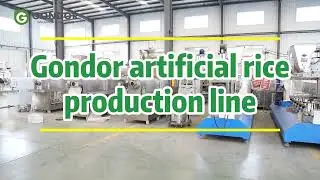 🚀 Transform Your Food Production! Gondor Artificial Rice Production Line 🌾 #foodprocessing