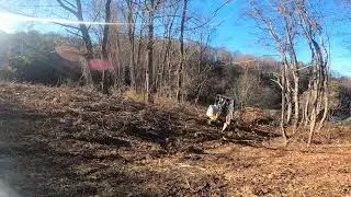 Bush Hogging and Clearing Pasture Land for Calves