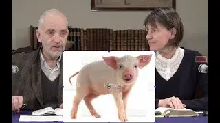 La parabole du fils prodigue (Ecole Biblique)