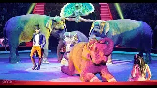 Скоро начнется огромный цирк !! Huge circus soon will start!! Россия Санкт-Петербург