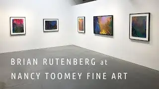Brian Rutenberg at Nancy Toomey Fine Art