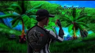 Introducing FLARE Clan pt 2