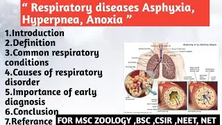 Respiratory diseases | Asphyxia | Hyperpnea | Anoxia | Common respiratory conditions | Causes