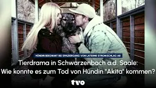 Tierdrama in Schwarzenbach a.d. Saale: Wie konnte es zum Tod von H&uuml;ndin 