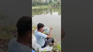 Fishing into Pond। Short video। The Fish Fish #youtubeshorts #viral #shortvideo #shortfeed #fishing
