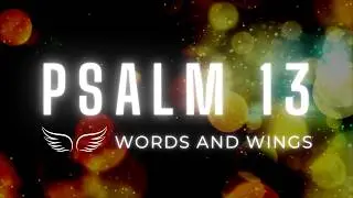 🕯️ How Long Lord? &ndash; Psalm 13 Bible Reading for When God Feels Distant