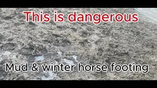 We Finally Fixed Our Mud Problem-DIY Horse Pasture Upgrade