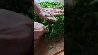 #rek #обзор #аяты #кухнякавказа#лезгиблюда#хинкал#курзе#вкусно#сзеленью#чудусзеленью#курзесзеленью