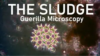 The Sludge - Guerilla Microscopy (music Markus Suckut - First Movement)