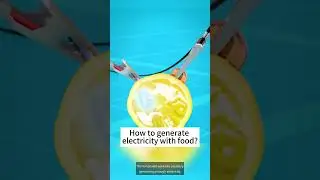 How to generate electricity with food? #scienceismagic #physics #trick #thinking