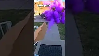 Doorbell Camera Captures Instant Karma for Porch Pirate 📸...