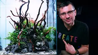Пресноводный &laquo;КОРАЛЛОВЫЙ РИФ&raquo; в 45-часовом аквариуме с растениями