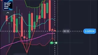 Forex & binary trading ￼ knowledgeable videos #viralvideo #tradingtips #thankyouuniverse 