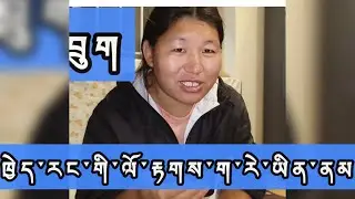 ཁྱེད་རང་གི་ལོ་རྟགས་ག་རེ་ཡིན་ནམ། What is your Tibetan zodiac signs? #tibetan #viralvideo #fyp #family