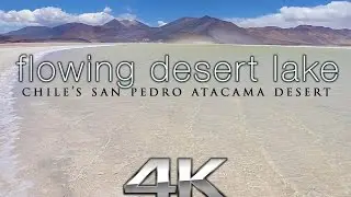 4K Moving Art Scene: 